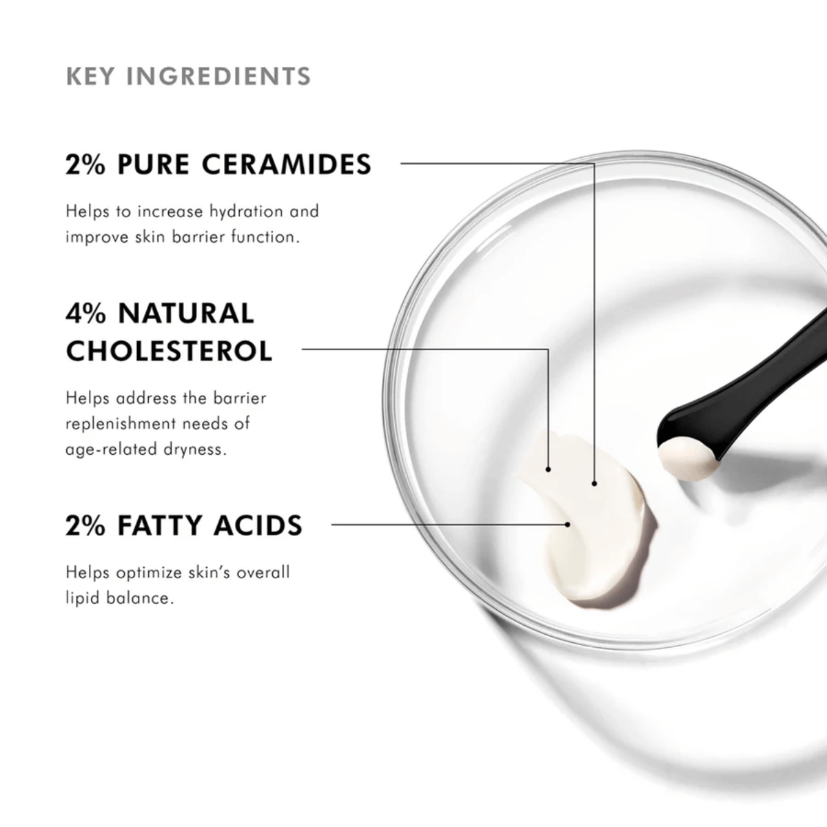 SkinCeuticals Triple Lipid Restore 2:4:2 Anti-Aging Cream 48ml