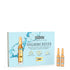 ISDIN Isdinceutics Hyaluronic Booster Intense Hydrating and Soothing Serum Ampoules x10